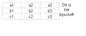 Voorbeeld bijschrift bij tabel