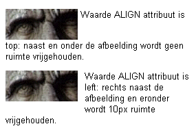 Voorbeeld attribuut-selector